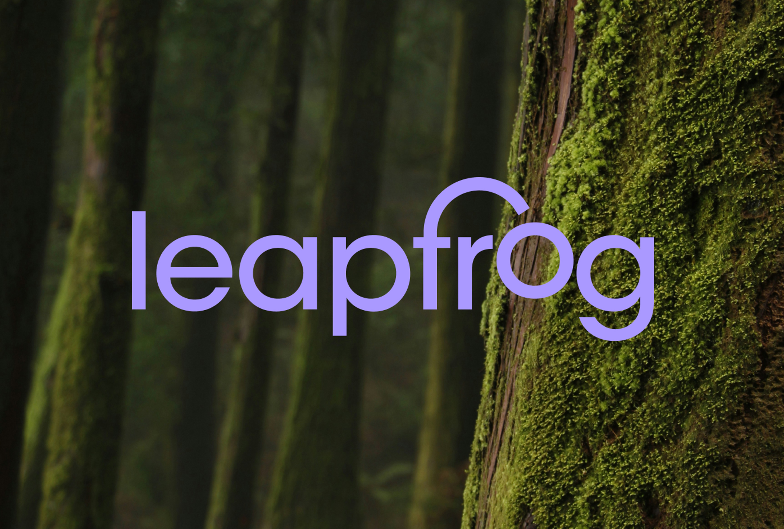 Leapfrog Image portfolio